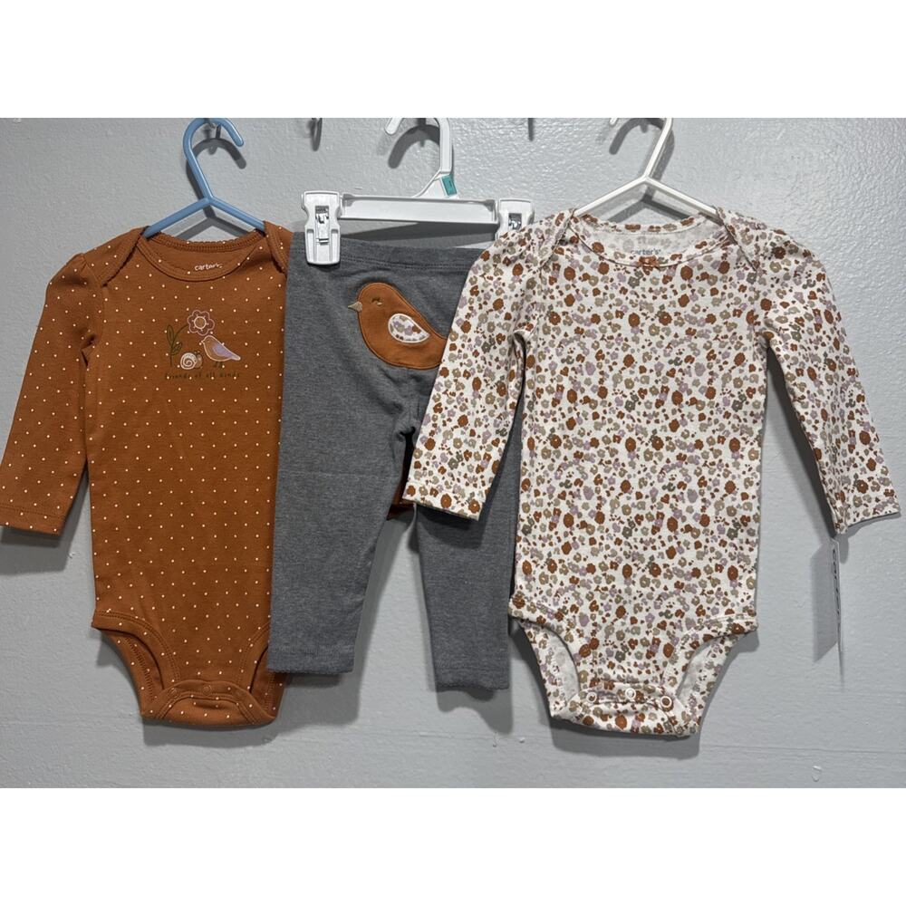 Lot of 3 Carters Baby Girls 9M Bodysuits & Pant Bird Flowers Print Brown Gray